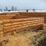 Строительство деревянных домов,  бань и беседок